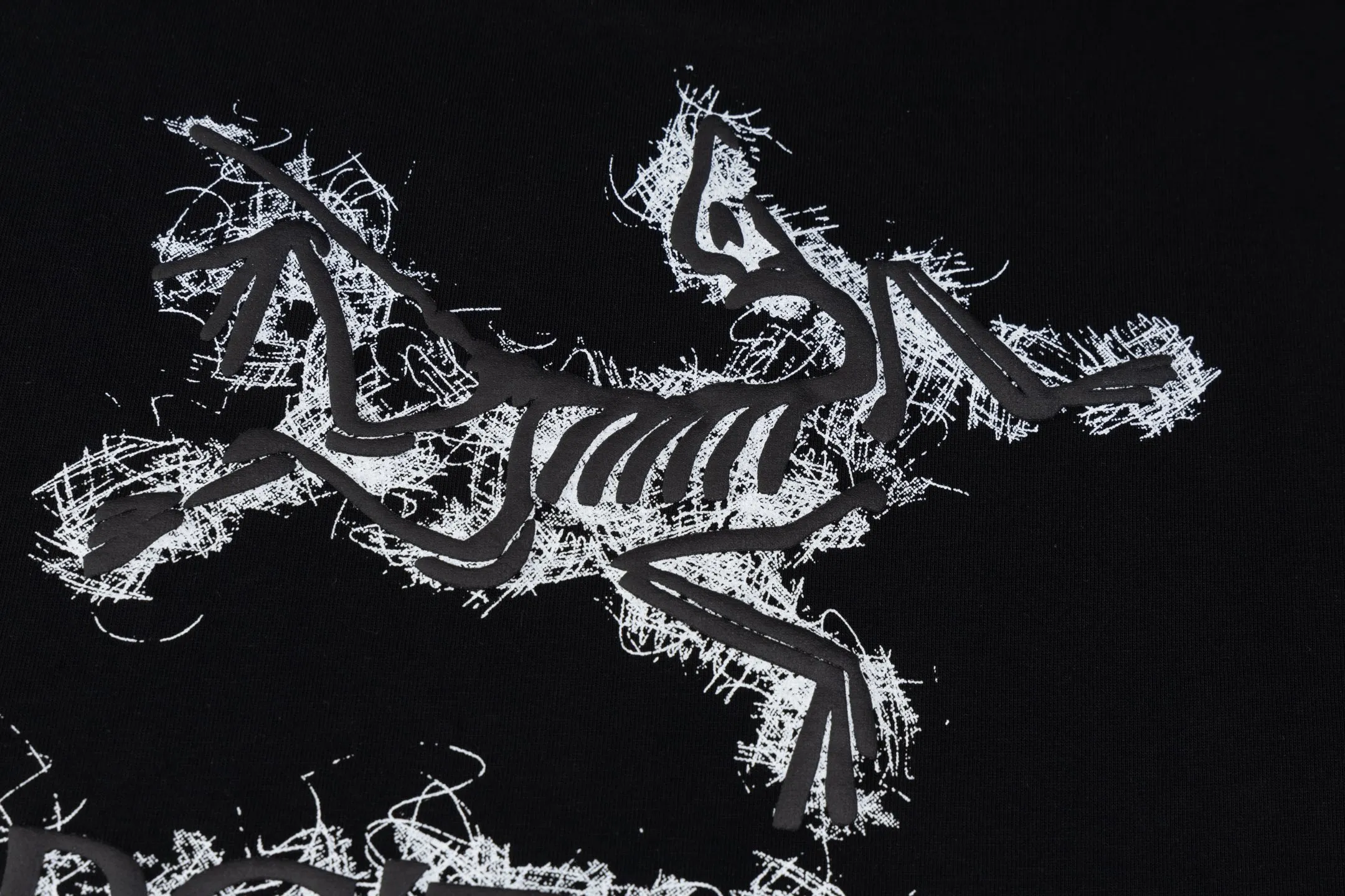 Ayc Teryx（ F 1） 2025FW T LOGO Premium 32s Same Style ：Black White Size：XS S M L